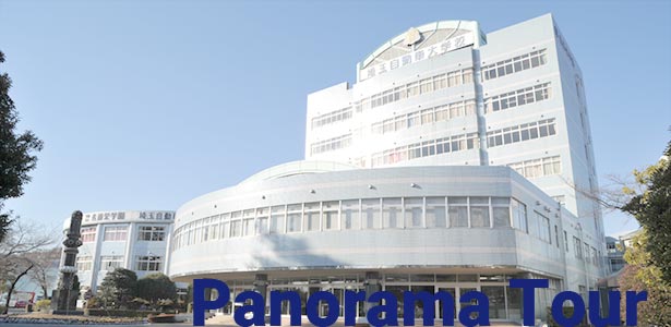 Panorama Tour